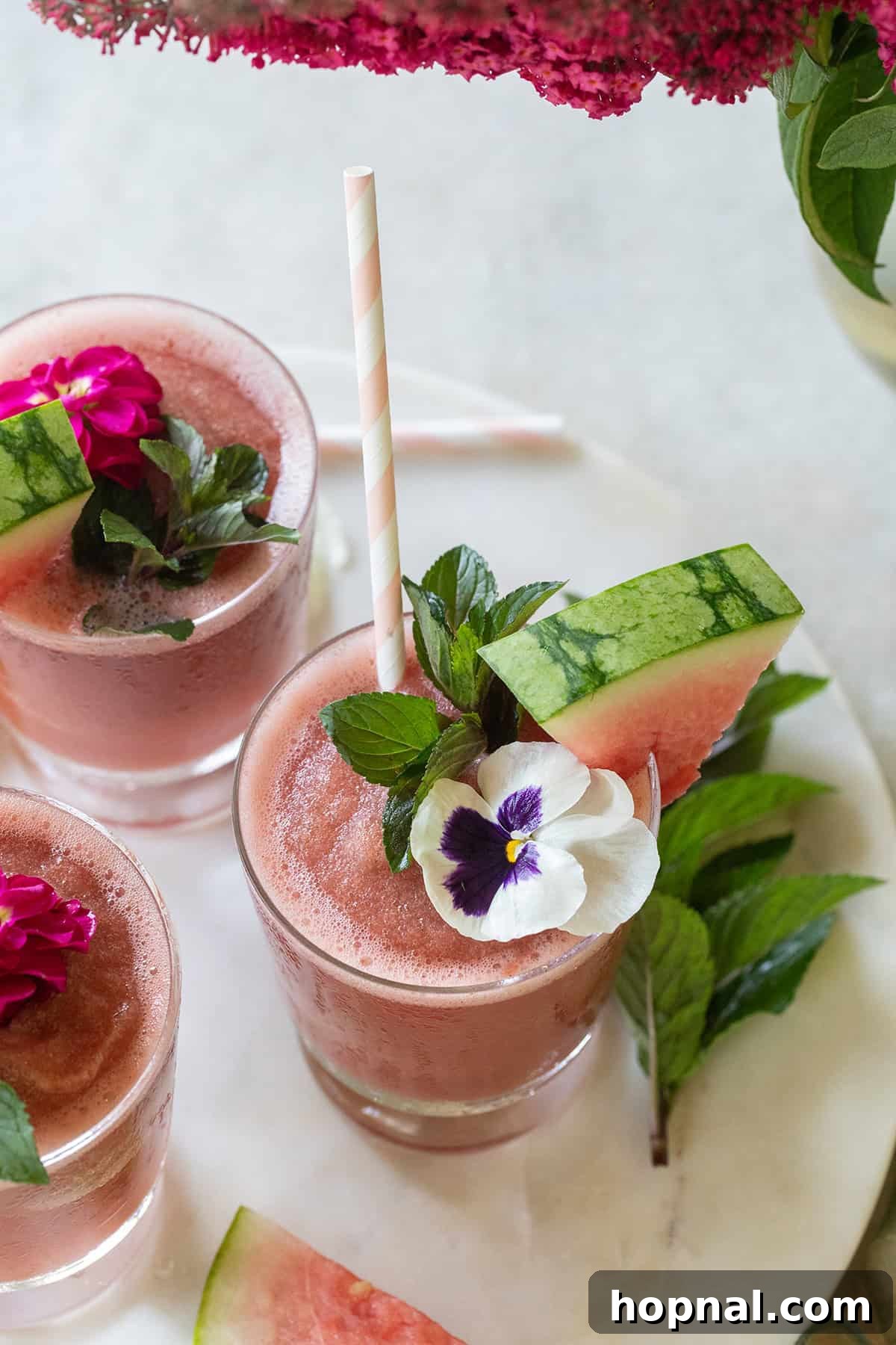 Watermelon frosé recipe served with refreshing garnishes, ready for enjoyment.