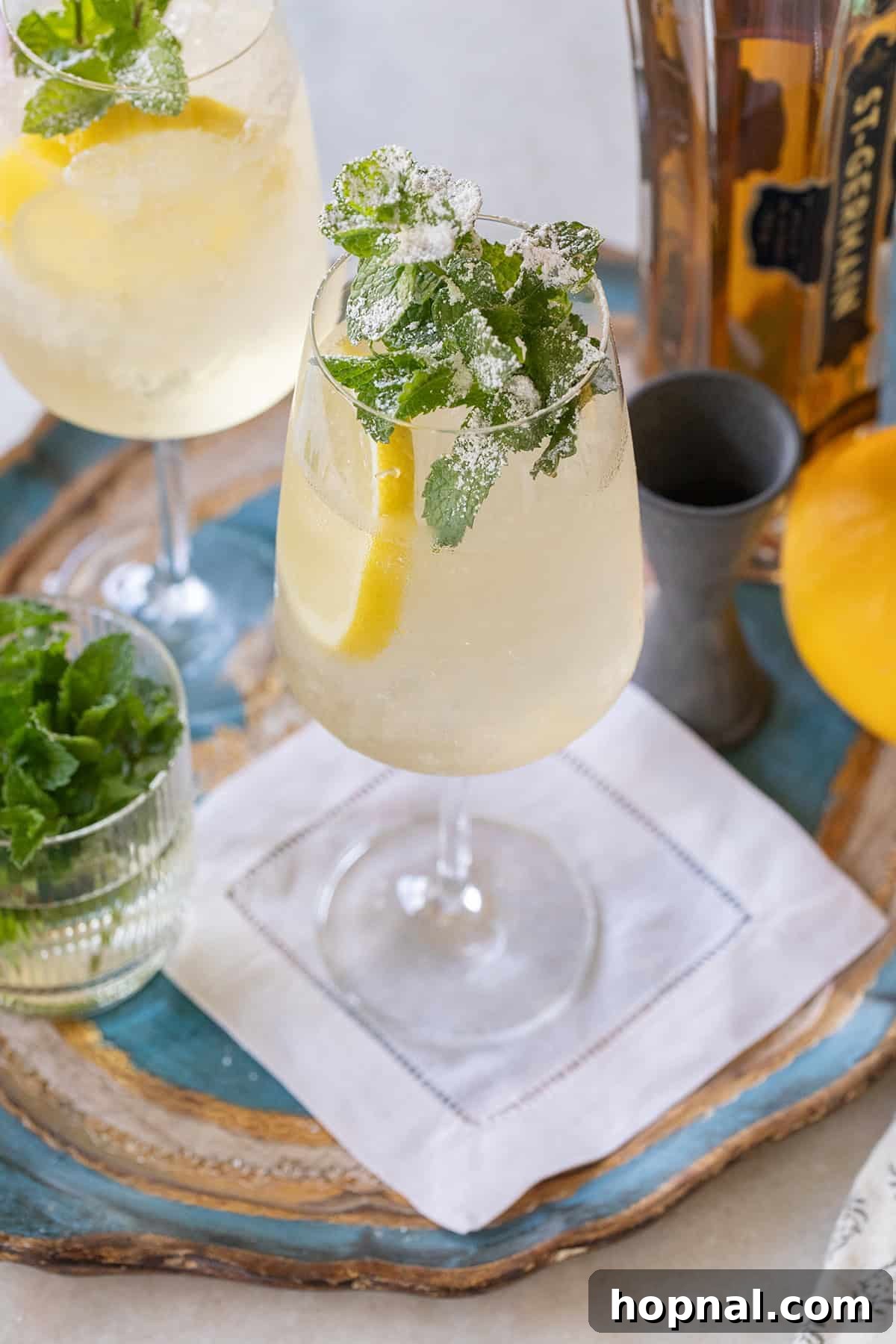 Hugo spritz with Prosecco, lemon, mint and Elderflower. Ingredients laid out.