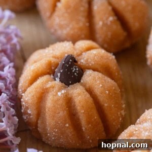 Pumpkin cheesecake truffle recipe. A close-up of the finished treats.