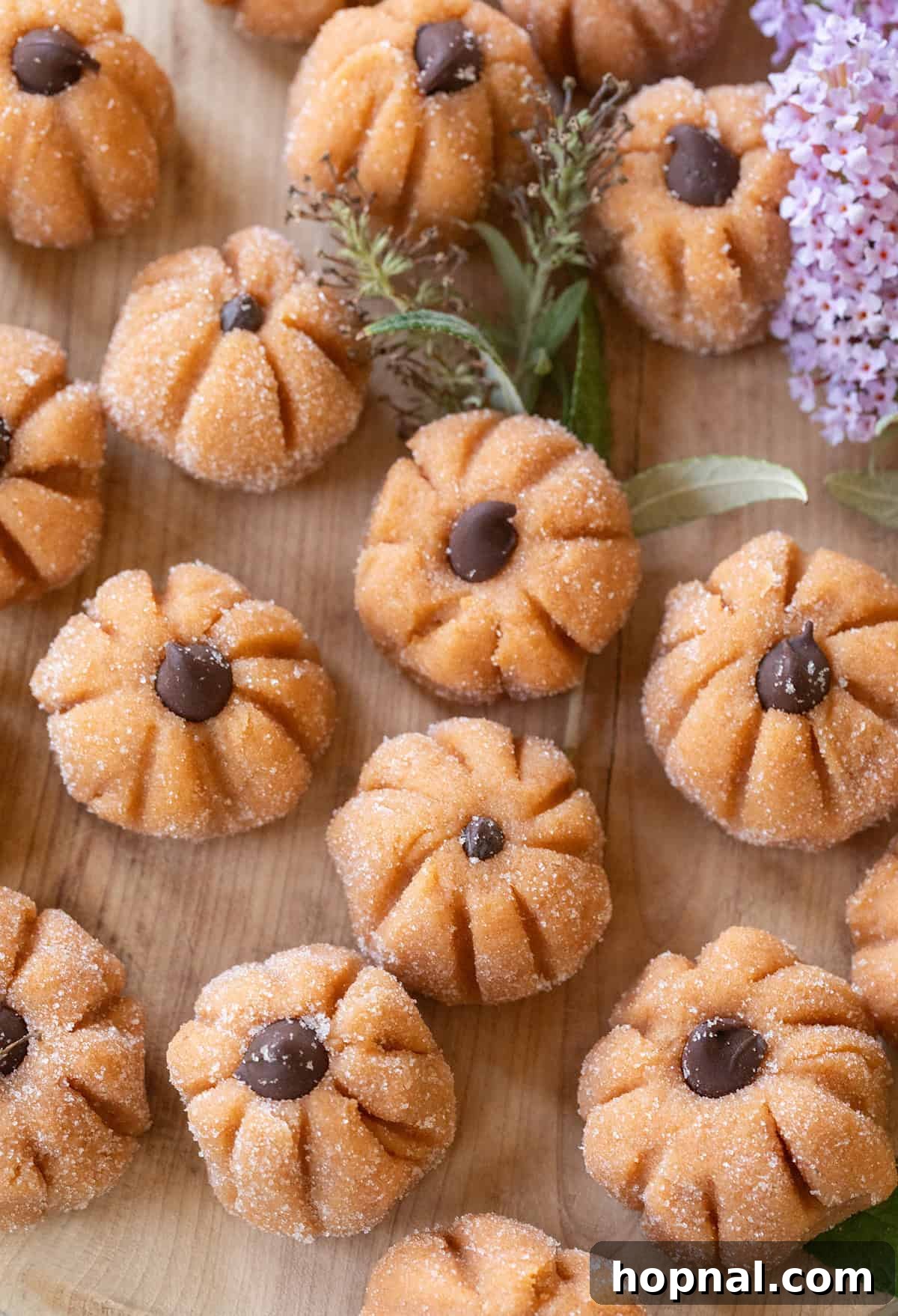Mini pumpkin cheesecake truffle recipes with mini chocolate chips. Beautifully crafted fall treats.