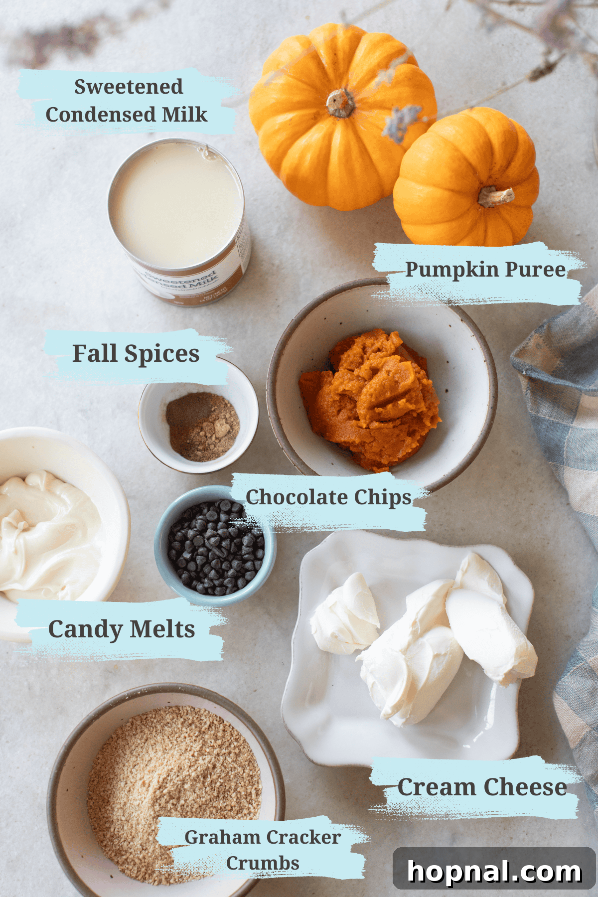 Ingredients to make pumpkin cheesecake truffles. A visual guide to the components of this fall dessert.