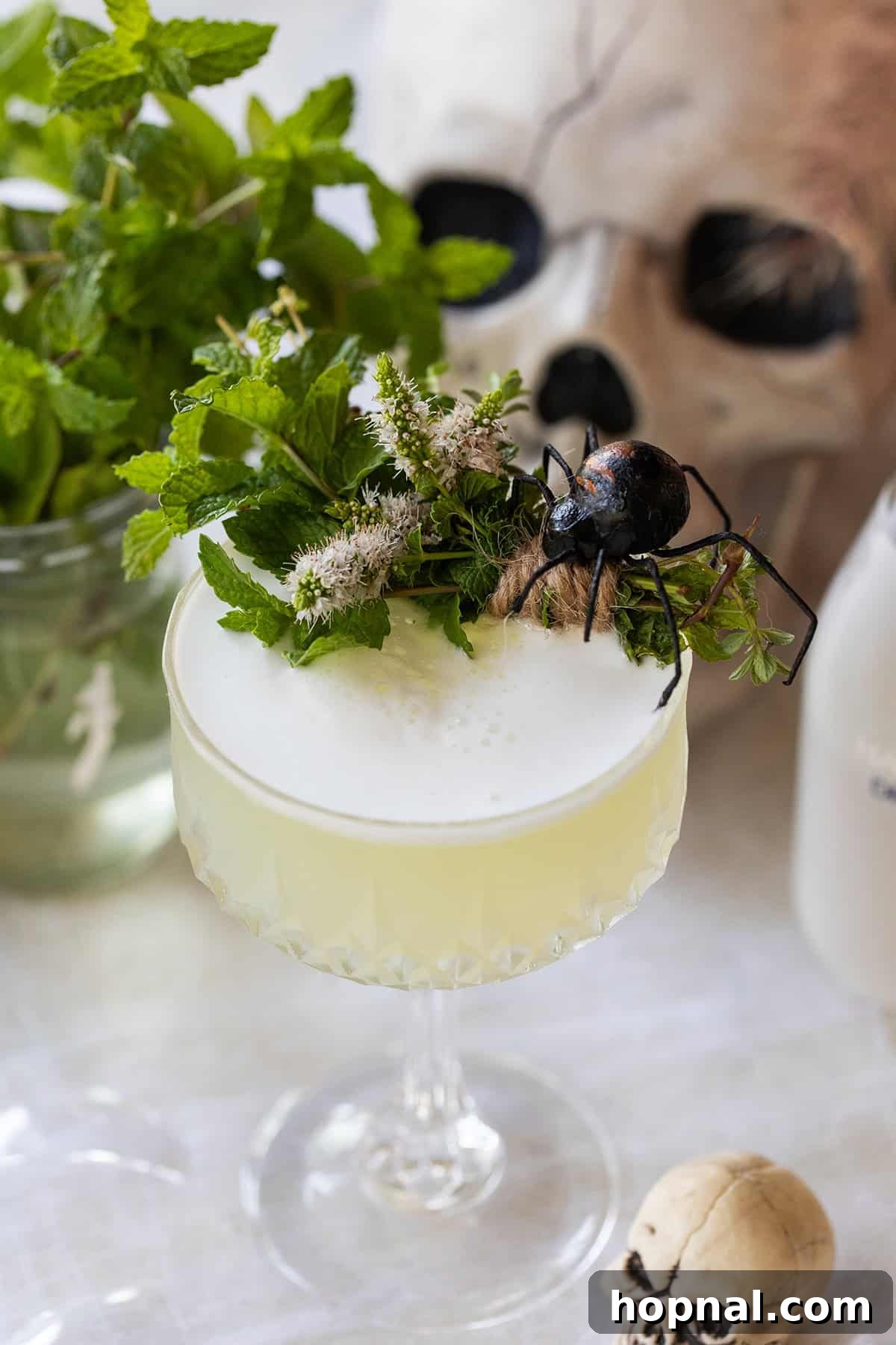 A refreshing Sake Sour cocktail with a creamy foam top, perfect for Halloween gatherings.