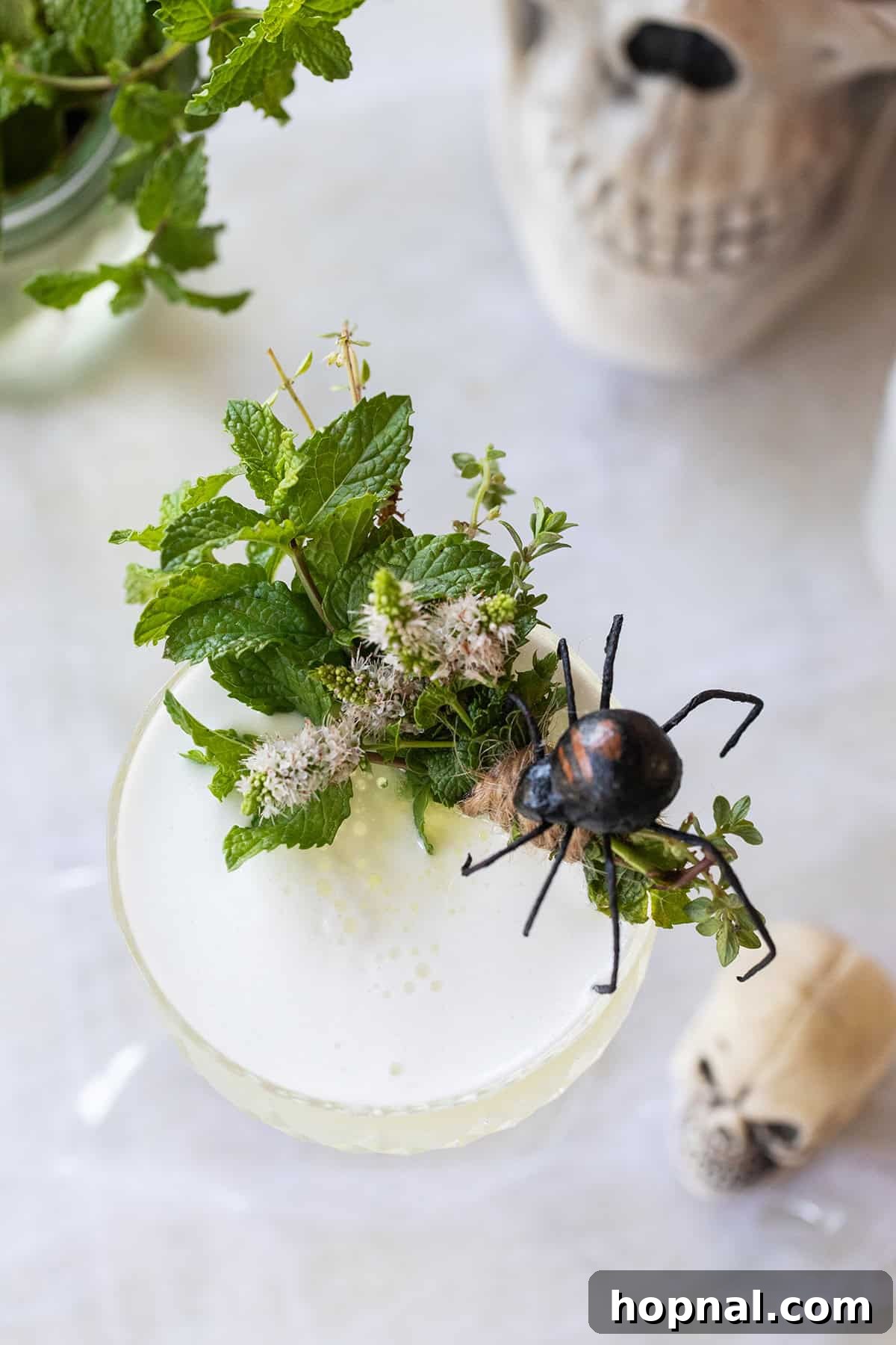 Sake Sour cocktail artfully garnished with a spooky, dark herb bundle and a lime twist for Halloween.