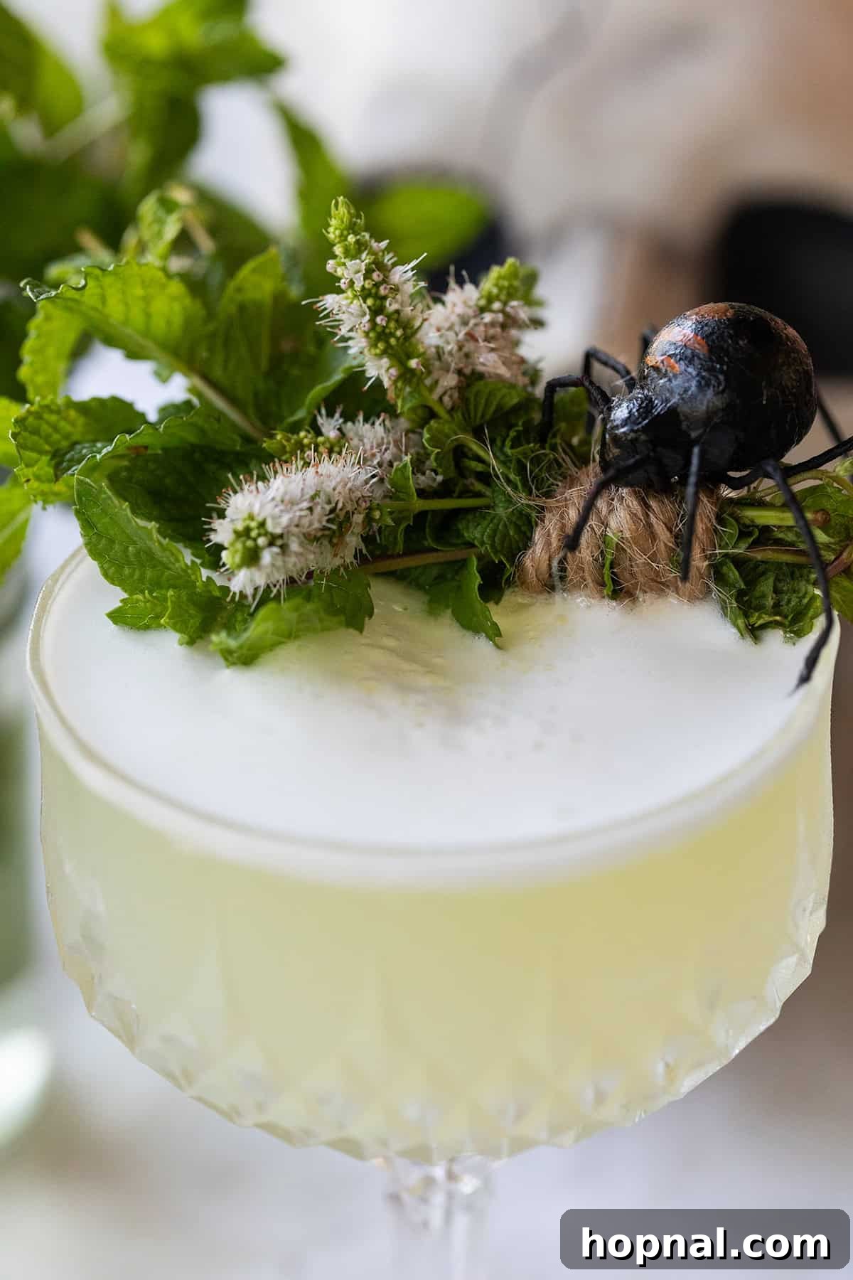 A close-up of the Sake Sour cocktail showcasing its frothy egg white top, cucumber slices, and a vibrant lime wedge.