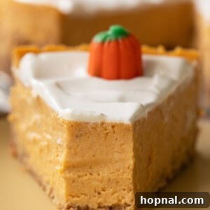 Creamy pumpkin cheesecake with a slice taken out, showcasing the smooth filling and golden crust.