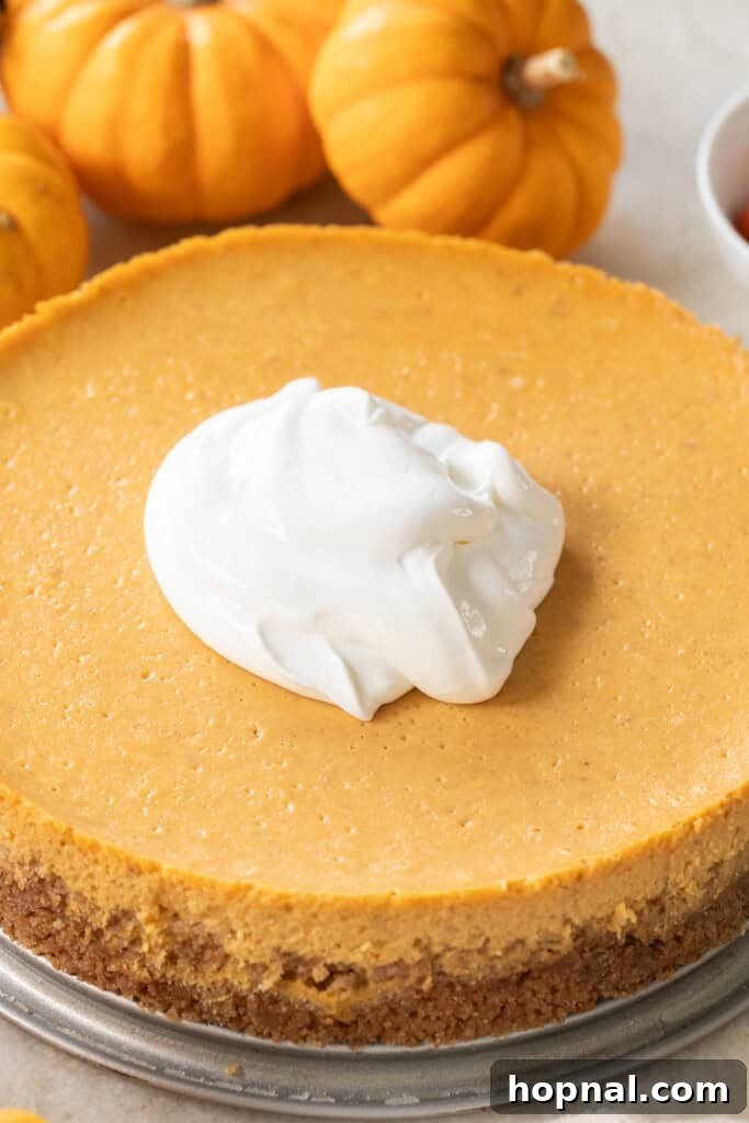 A beautifully baked pumpkin cheesecake with a delicate sour cream topping, showcasing a perfectly set texture.