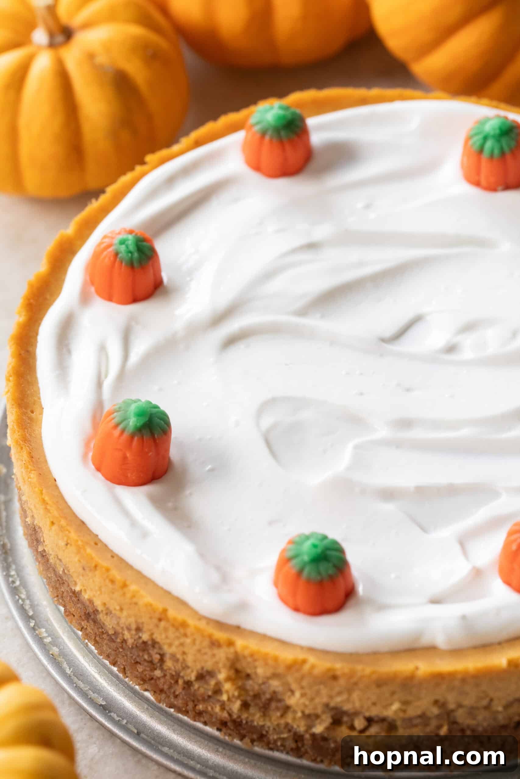 Close-up of a perfectly baked pumpkin cheesecake with a thick, smooth sour cream topping, garnished with a light sprinkle of cinnamon, sitting on a marble countertop.