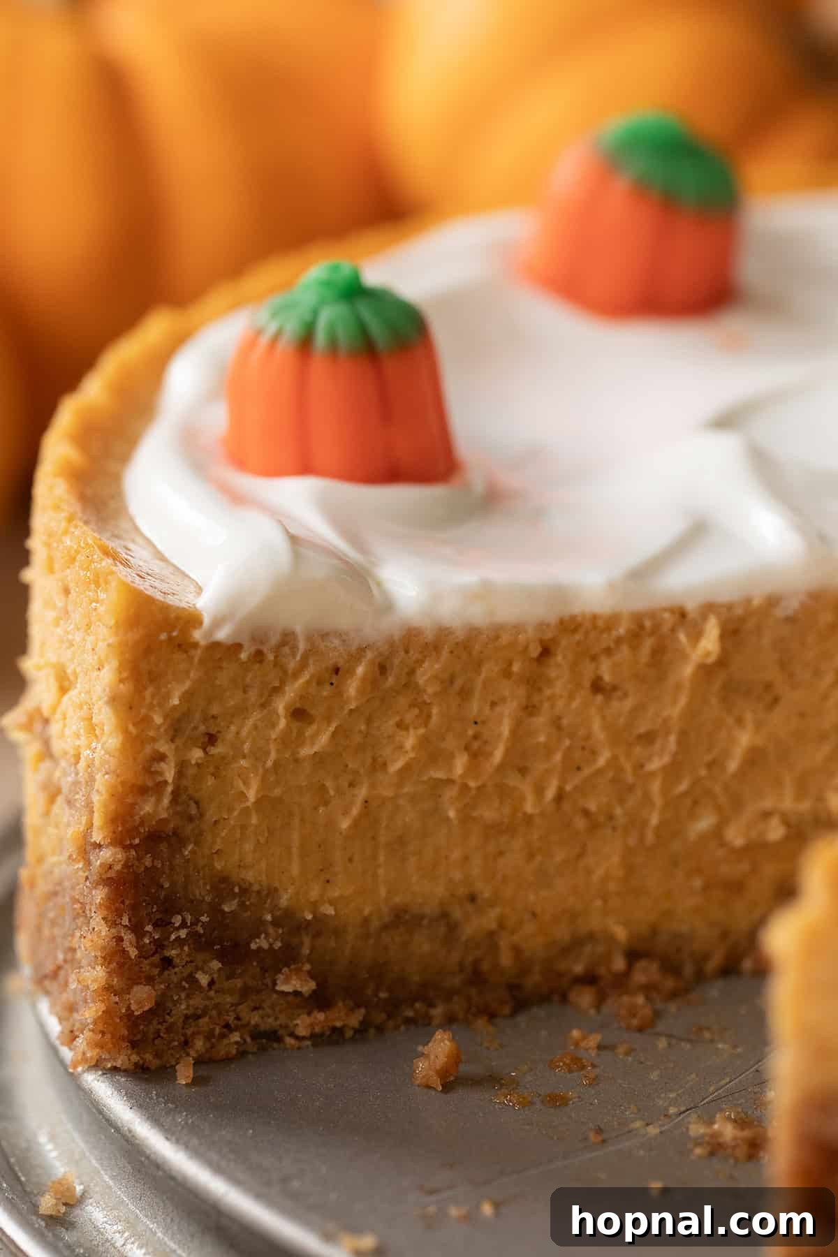 A large, perfectly cut slice of pumpkin cheesecake resting on a serving spatula, showcasing its smooth, creamy interior and graham cracker crust.