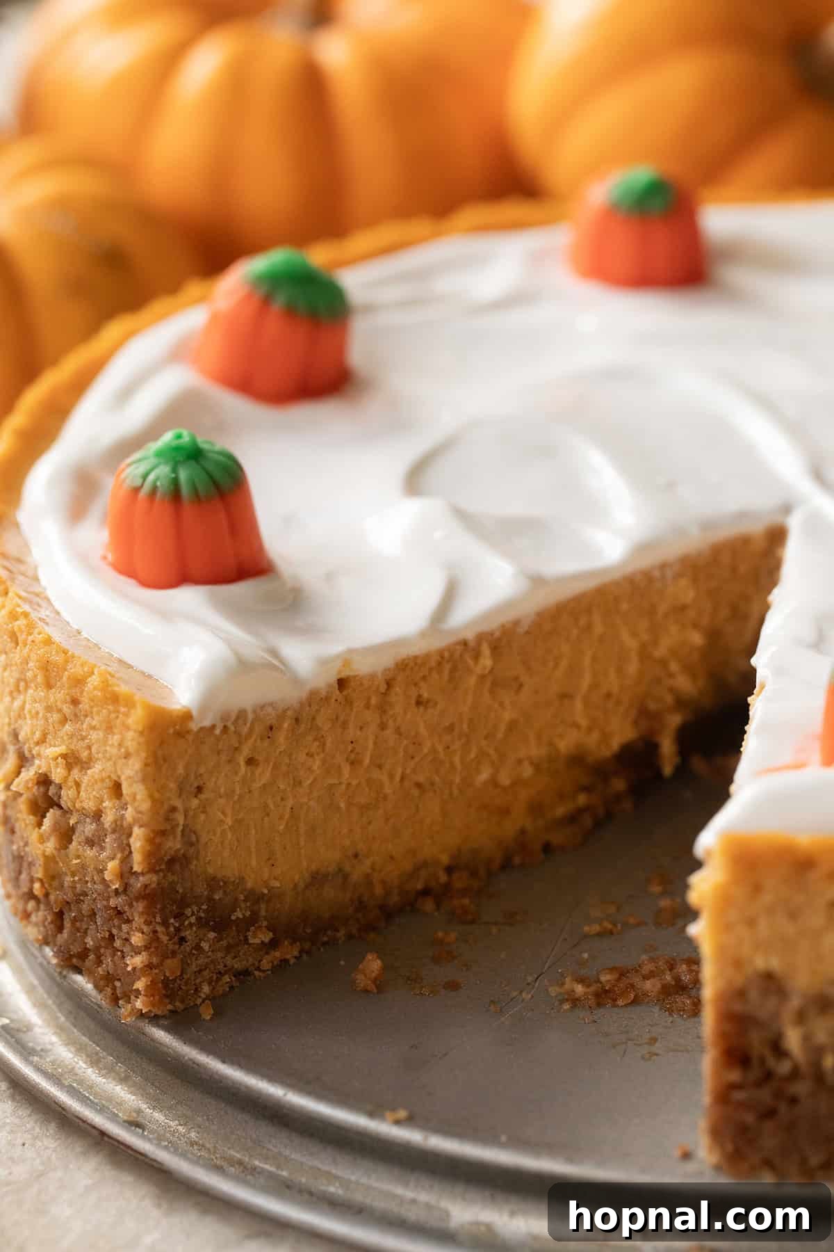 An overhead view of a pumpkin cheesecake with a perfectly smooth, slightly swirled sour cream topping, ready for serving.