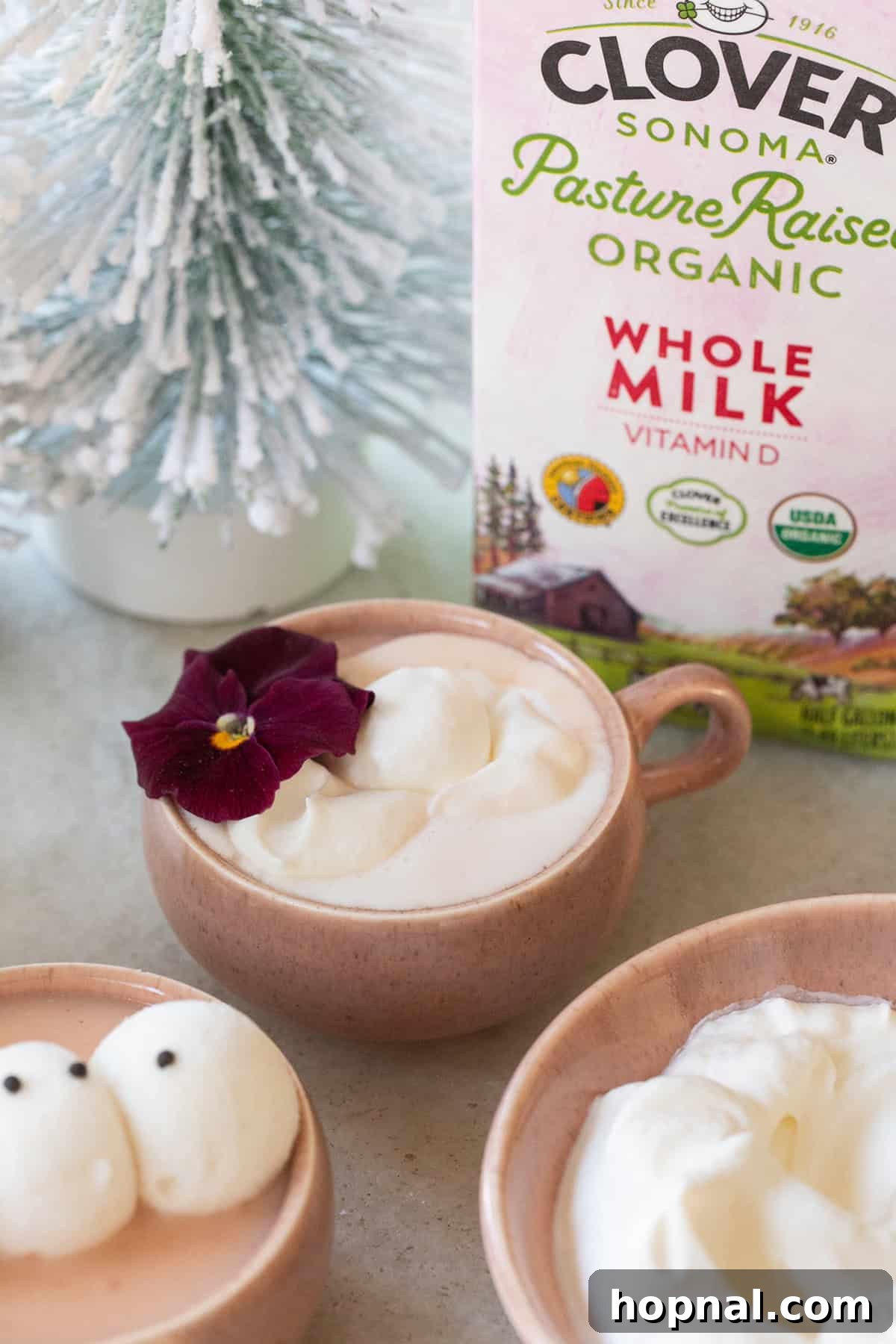 Easy pink hot chocolate recipe with natural coloring, edible flowers and whipped cream. 