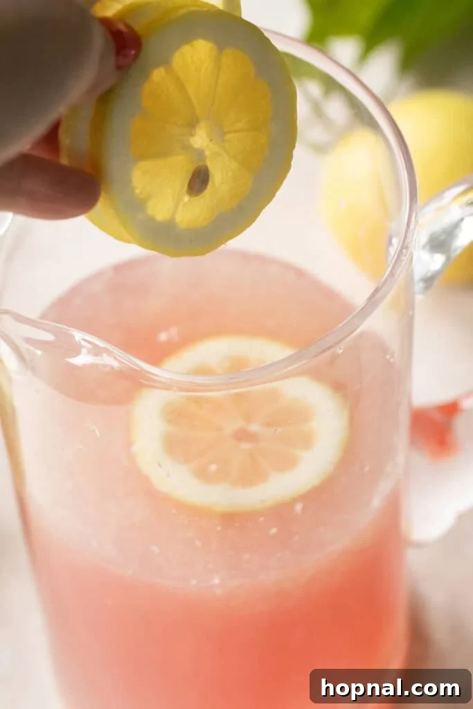 Adding fresh lemon slices to a pitcher of prepared lavender lemonade, ready for chilling and serving.