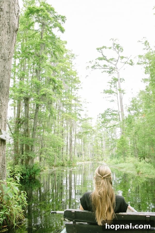 Serene view of Cypress Gardens in Charleston with reflections on the water