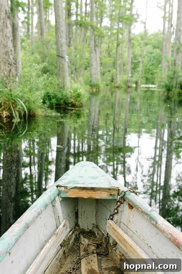 A boat gently paddling through the serene swamp at Cypress Gardens, surrounded by Spanish moss