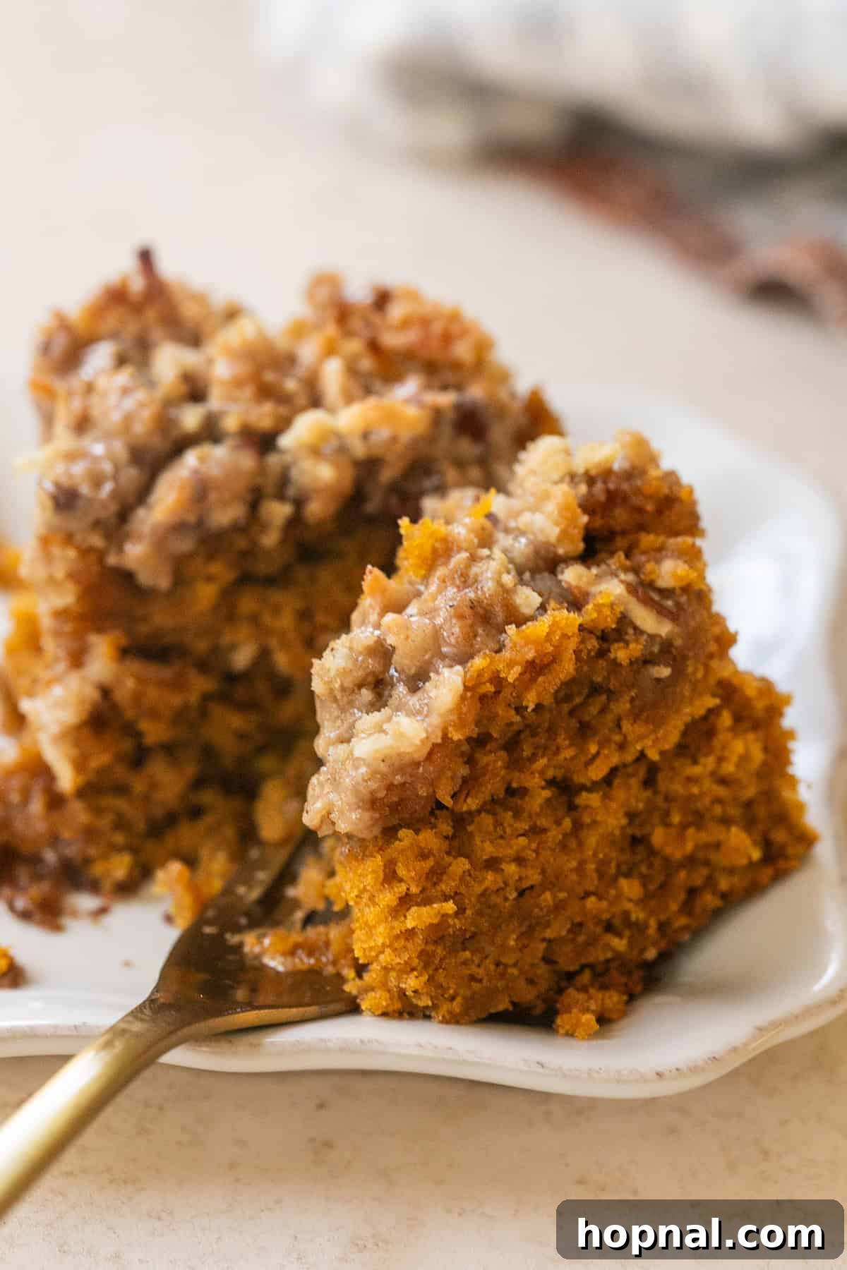 Warm Spiced Pumpkin Crumb Cake 2 A generous slice of pumpkin coffee cake, showcasing its moist texture, a rich coconut-pecan crumb topping, and a delicate cinnamon spice glaze.