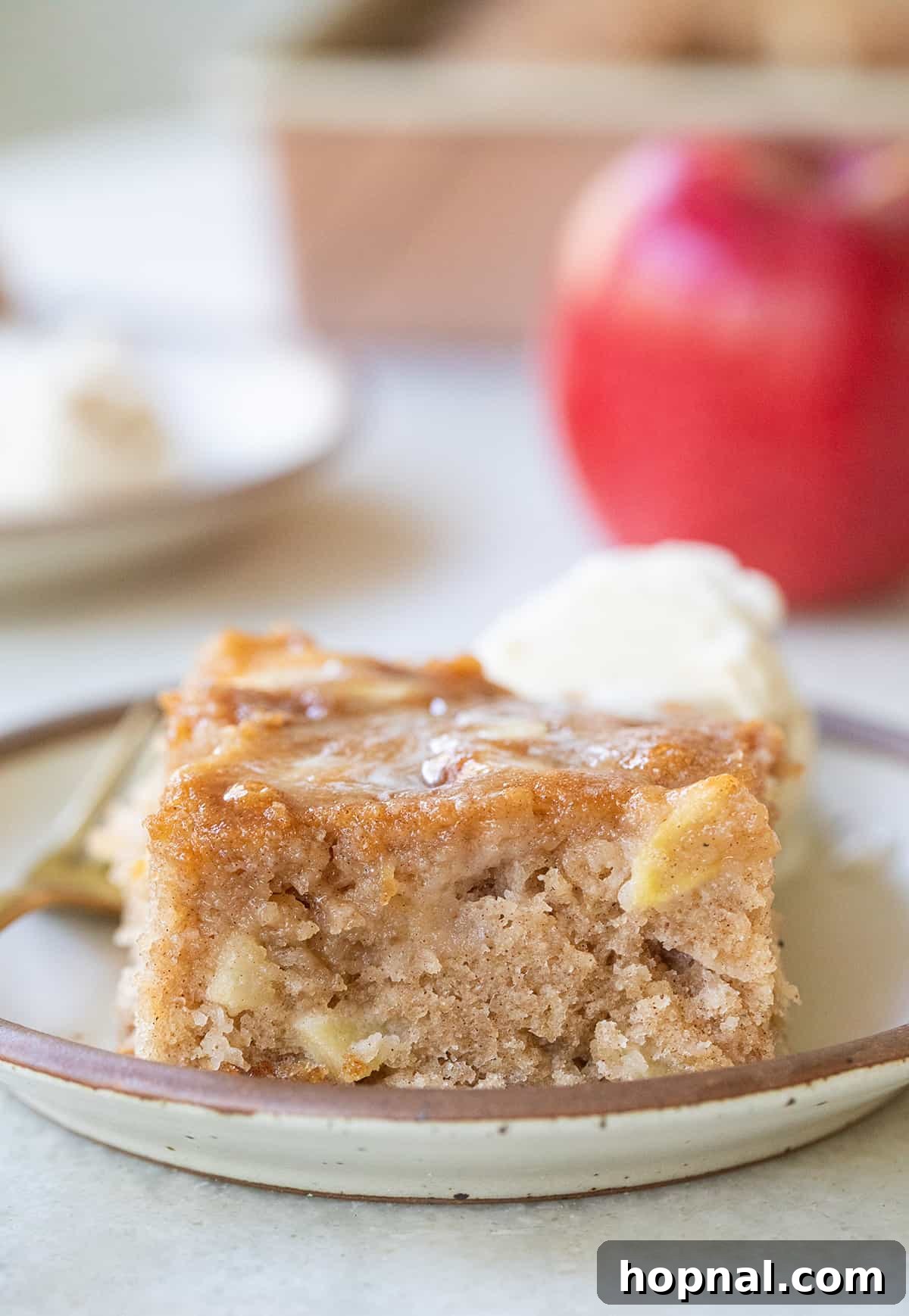 slice of apple cake on a plate.