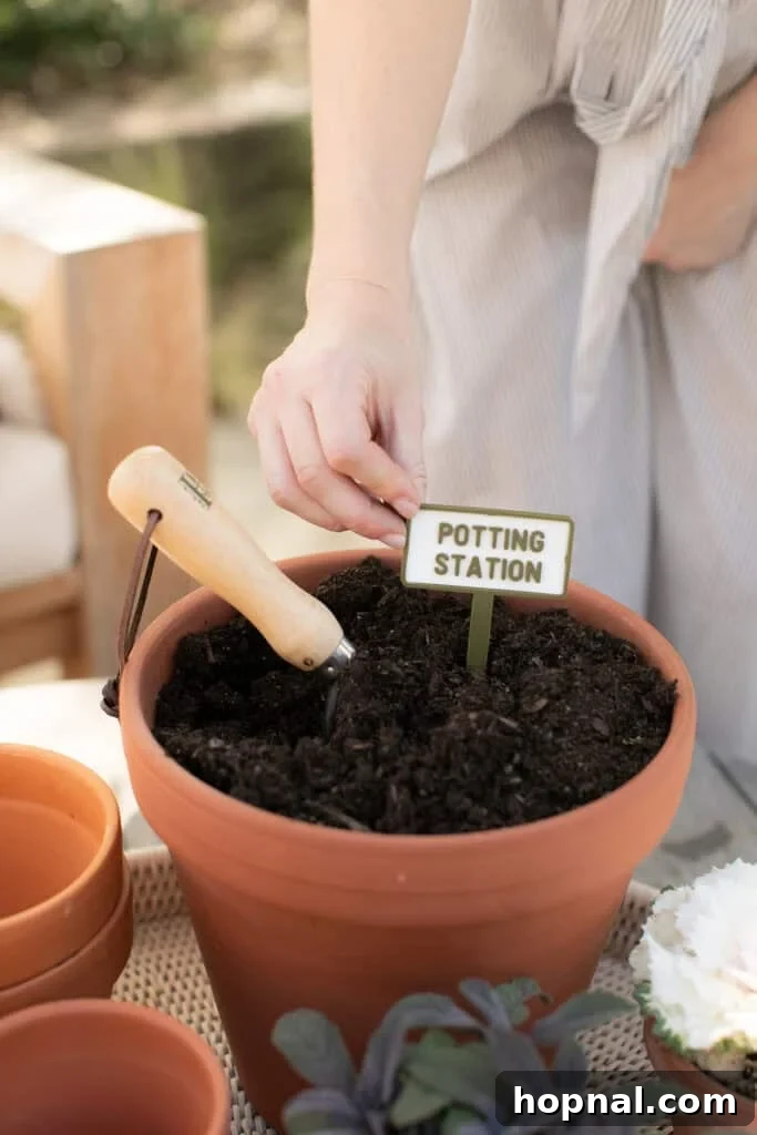 Hands carefully potting vibrant spring flowers into small containers, showcasing a charming and engaging garden party activity for guests.