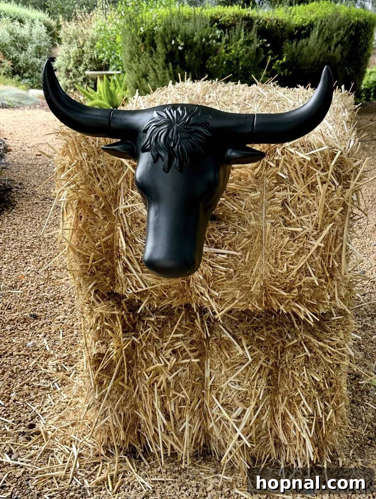 Rodeo-Themed Dinner Party Ideas: Menu, Decor & Tips 14 A steer head on hay bales to rope for a rodeo game.