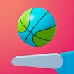 Flipper Dunk 3D